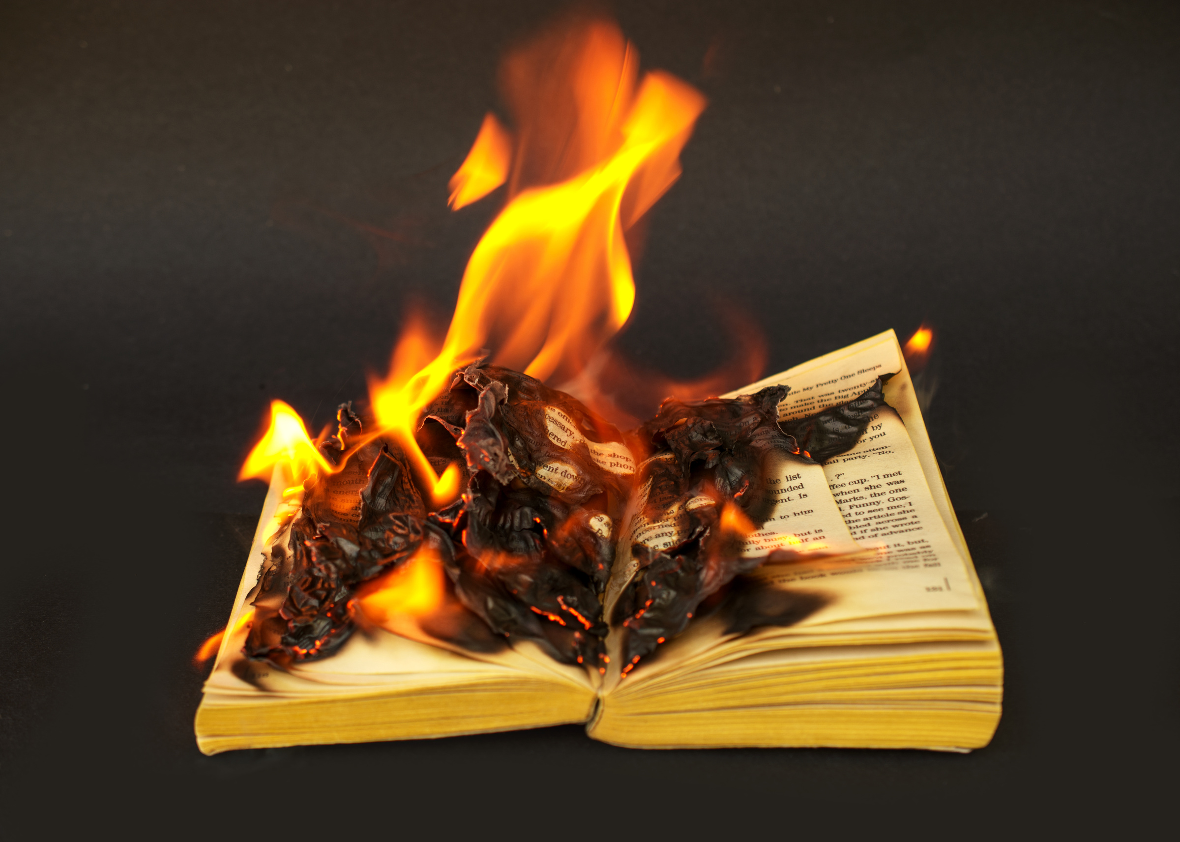 Book Banned and Burning